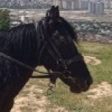 Александр Самарин