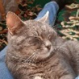 Анастасия Владимировна Курмагожина