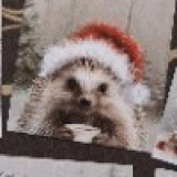 Елена Даниэльянц