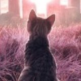 Делайла Кора