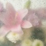 Вера Знотова