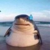 Марсель Салихов