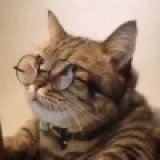 Кира Котова