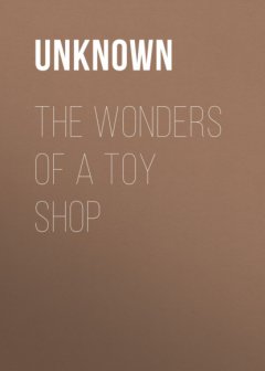 The Wonders of a Toy Shop