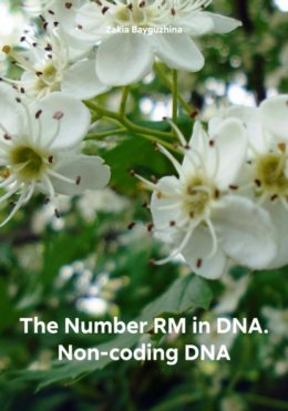 The Number RM in DNA. Non-coding DNA