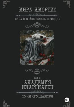 Академия Иларгиарен: Тучи сгущаются