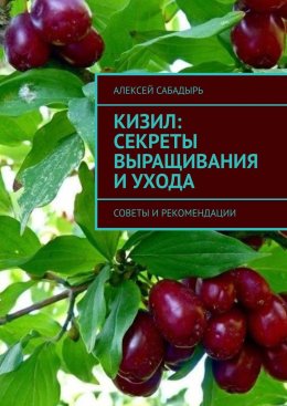 Кизил: секреты выращивания и ухода. Советы и рекомендации