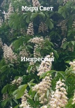 Каштанов райских свечи зажигаю: сборник стихов