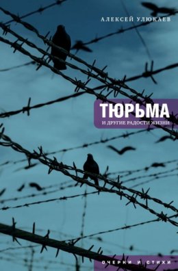 Тюрьма и другие радости жизни: очерки и стихи