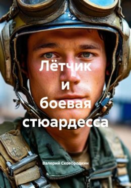 Лётчик и боевая стюардесса