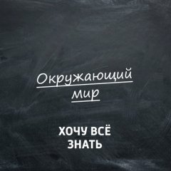 Какие научные исследования можно провести летом?