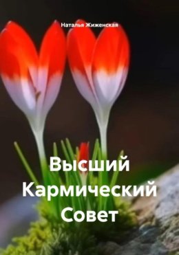 Высший Кармический Совет