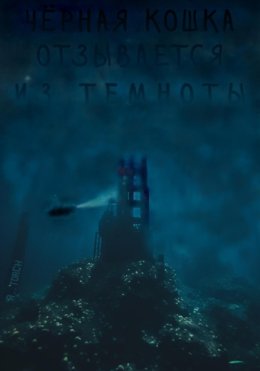 Чёрная кошка отзывается из темноты