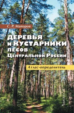 Деревья и кустарники лесов Центральной России