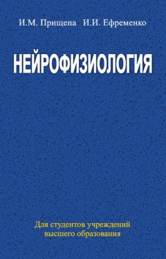 Нейрофизиология