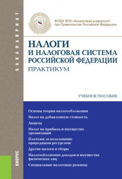 Налоги и налоговая система Российской Федерации. Практикум