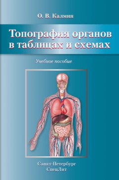 Топография органов в таблицах и схемах. Учебное пособие