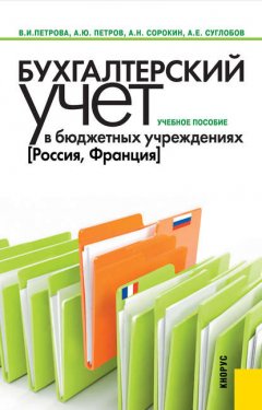 Бухгалтерский учет в бюджетных учреждениях