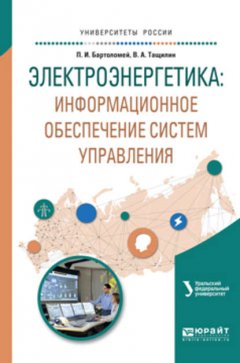 Электроэнергетика: информационное обеспечение систем управления. Учебное пособие для вузов