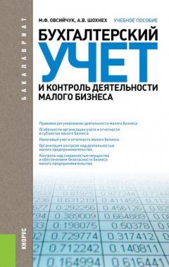 Бухгалтерский учет и контроль деятельности малого бизнеса