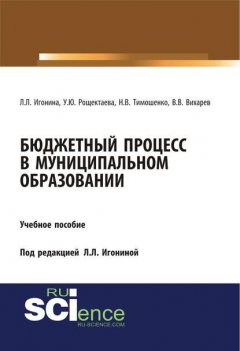 Бюджетный процесс в муниципальном образовании