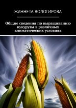 Общие сведения по выращиванию кукурузы в различных климатических условиях
