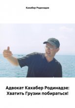 Адвокат Кахабер Родинадзе: Хватить Грузии побираться!