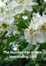 The Number RM in DNA. Non-coding DNA