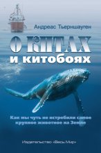 О китах и китобоях. Как мы чуть не истребили самое крупное животное на Земле