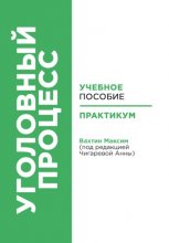 Уголовный процесс. Учебное пособие и практикум (под редакцией Чигаревой Анны)