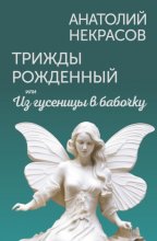 Трижды рожденный, или Из гусеницы в бабочку