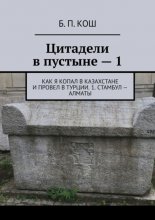 Цитадели в пустыне – 1. Как я копал в Казахстане и провел в Турции. 1. Стамбул – Алматы