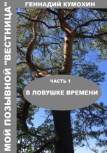 Мой позывной «Вестница». Часть 1. В ловушке времени