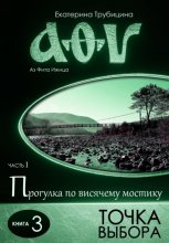 Точка выбора (серия: Аз Фита Ижица. Часть I: Прогулка по висячему мостику. Книга 3)