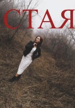 Стая