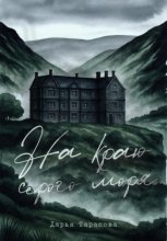 На краю серого моря