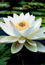 Что такое счастье, и как с ним бороться