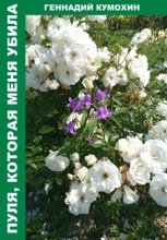 Пуля, которая меня убила