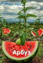 Арбуз