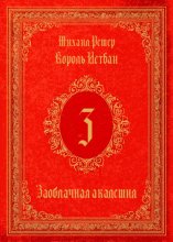 Король Истван. Книга 3. Заоблачная Академия