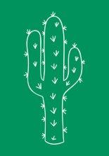 В погоне за тучей