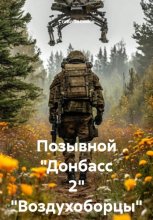 Позывной «Донбасс 2» «Воздухоборцы»