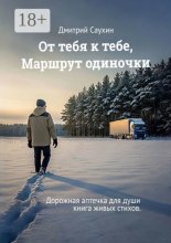 От тебя к тебе. Маршрут одиночки. Дорожная аптечка для души. Книга живых стихов