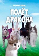 Полет дракона