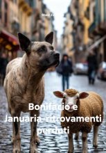 Bonifacio e Januaria-ritrovamenti perduti