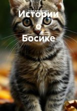 Истории о Босике