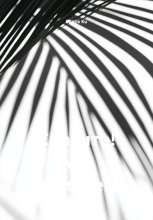 Спасите! Мы погибаем!