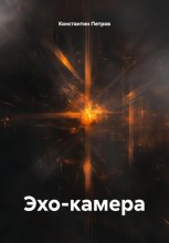 Эхо-камера
