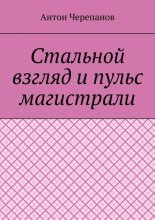 Стальной взгляд и пульс магистрали