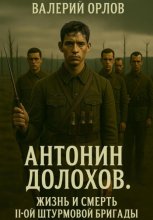 Антонин Долохов. Жизнь и смерть второй штурмовой бригады